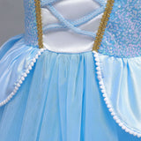 Disney Deluxe Elegant Cinderella Princess Ball Gown Fancy Birthday Cinderella Party Dress Vestidos Costume Play Carnival Apparel