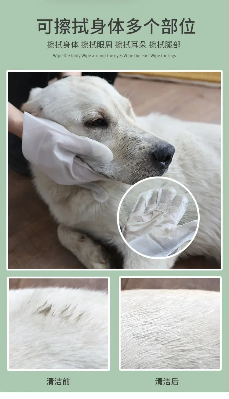 6PCS Cat Dog Disposable Glove Towels Pet Wash Free Glove No Rinse Washing Gloves Towels Deodorizing Dry Cleaning Wet Towels