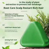 Shampoo Bar Platycladus Orientalis Natural Herbal Soap For Hair Loss Controls Oil Strengthens Root Shampoo Soap Hair Accessories