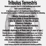 Tribulus Terrestris 5000mcg Extract 96% Saponins - Testosterone Booster Transdermal Patches, 30 Patches