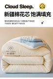 100% Cotton Filled Super Soft Autumn Winter Quilt Lightweight Fluffy Warm Duvets Core Grade A Comfort Quilted Double Comforter