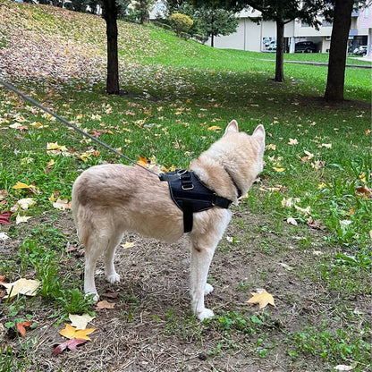 Dog Harness Vest ID Patch Customized Reflective Breathable Adjustable Pet Harness For Dog NO PULL Pet Outdoor Harness