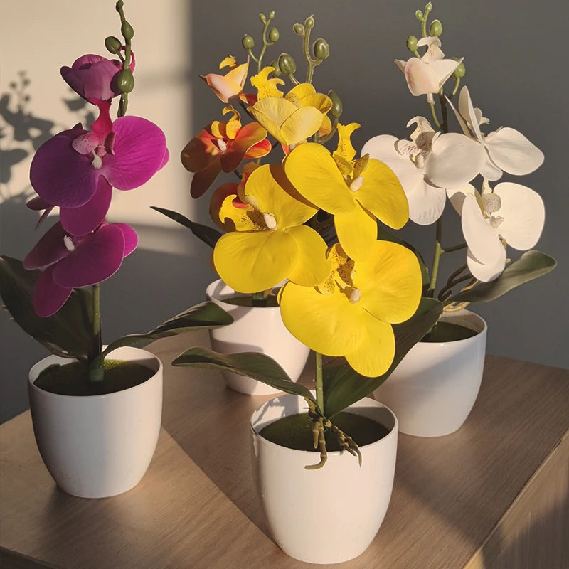 Simulado Orquídea Borboleta, Bonsai, Planta Em Vaso, Mesa, Mesa De Jantar, Escritório Em Casa, Vaso, Casamento, Decoração Do Quarto, Presente