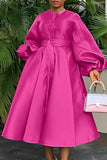 Women's Satin Lantern Sleeve Maxi Dress, Button Down Shirt, Elegant, Evening, Wedding, Long, Party, Monochrome 