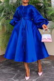 Women's Satin Lantern Sleeve Maxi Dress, Button Down Shirt, Elegant, Evening, Wedding, Long, Party, Monochrome 