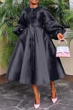 Women's Satin Lantern Sleeve Maxi Dress, Button Down Shirt, Elegant, Evening, Wedding, Long, Party, Monochrome 