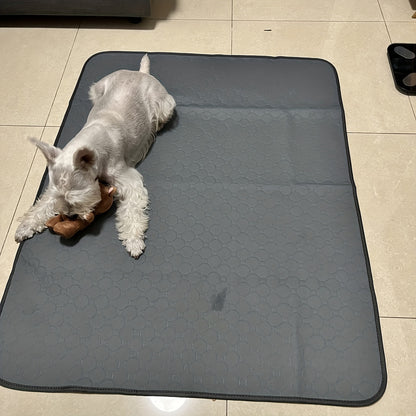 Reusable, Non-Slip Dog Pee Pad - Absorbent Pet Mat For Dogs And Cats - Perfect For Training!