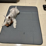 Almohadilla antideslizante y reutilizable para orinar de perros: alfombrilla absorbente para mascotas para perros y gatos: ¡perfecta para entrenamiento!