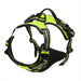 Greenish Yellow