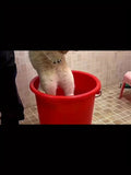 Cepillo de vapor para gatos, herramienta eléctrica 3 en 1 para el cuidado de mascotas, cepillo de vapor portátil de silicona autolimpiante para gatos y perros, masaje reconfortante y depilación, cuidado del cabello, diseño de pata.