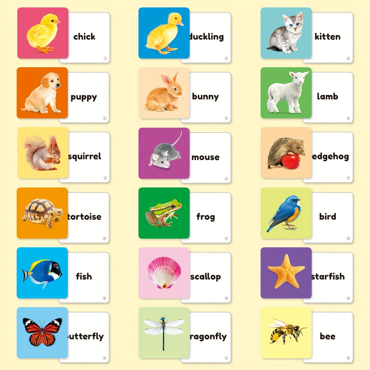 Teeny Baby® Animals Flashcards: 54 Cards with Vibrant Animal Images and English Words for Early Learning